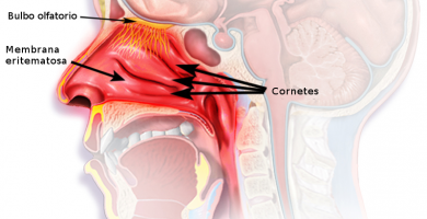 digitopuntura congestion nasal